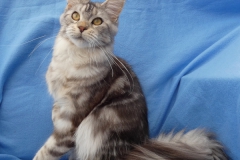 H'Hedda_Y00M08 (3)
